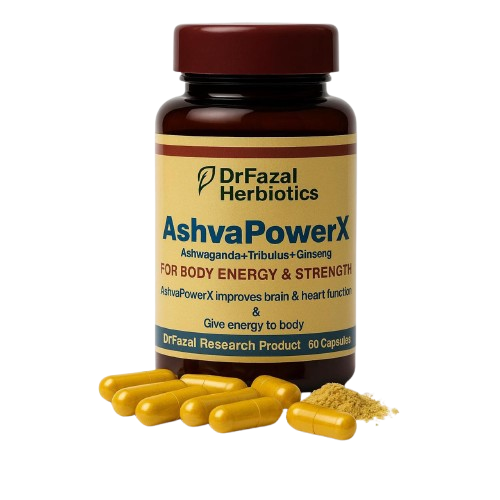 02-removebg-preview ashvapowerx