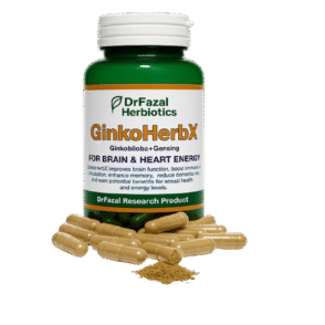 GinkoHerbX